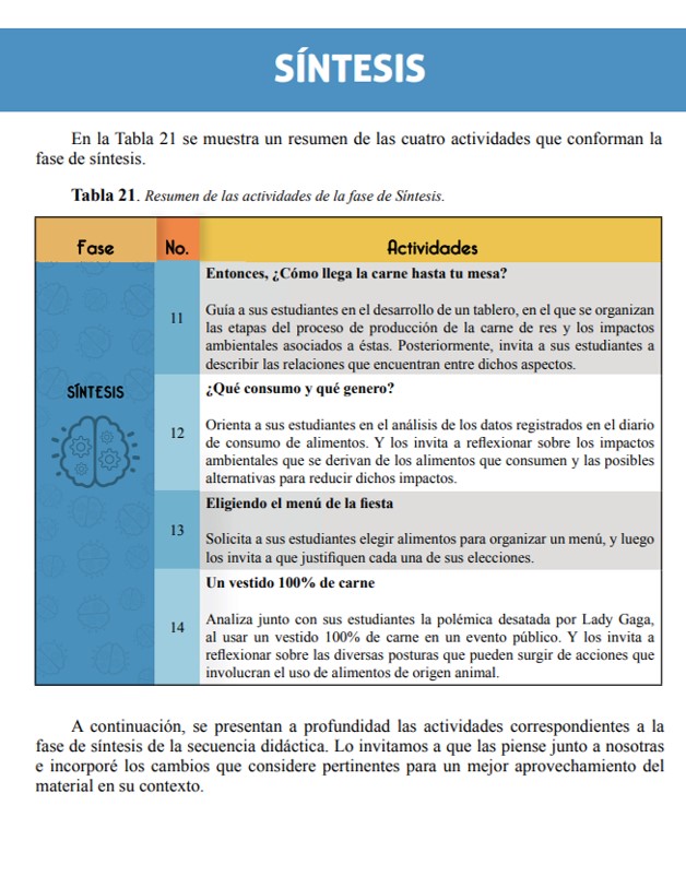 Fase de Síntesis